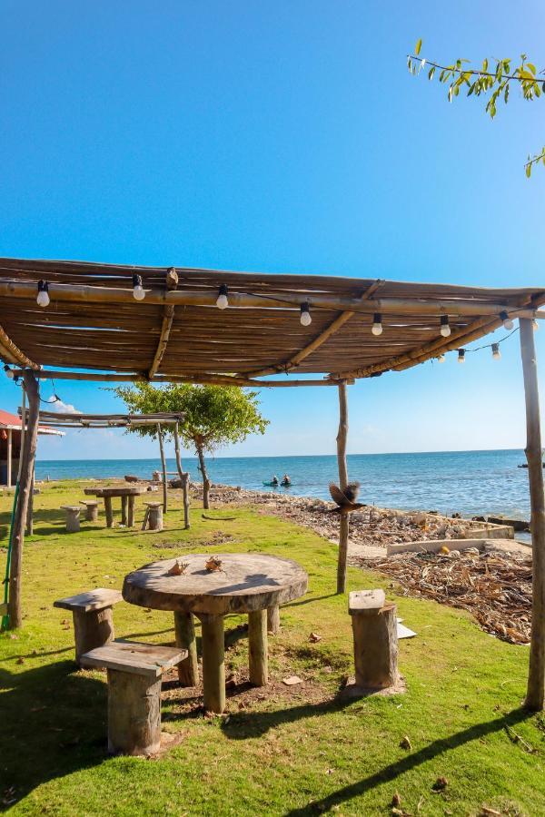 Dahlandia * Isla Mucura